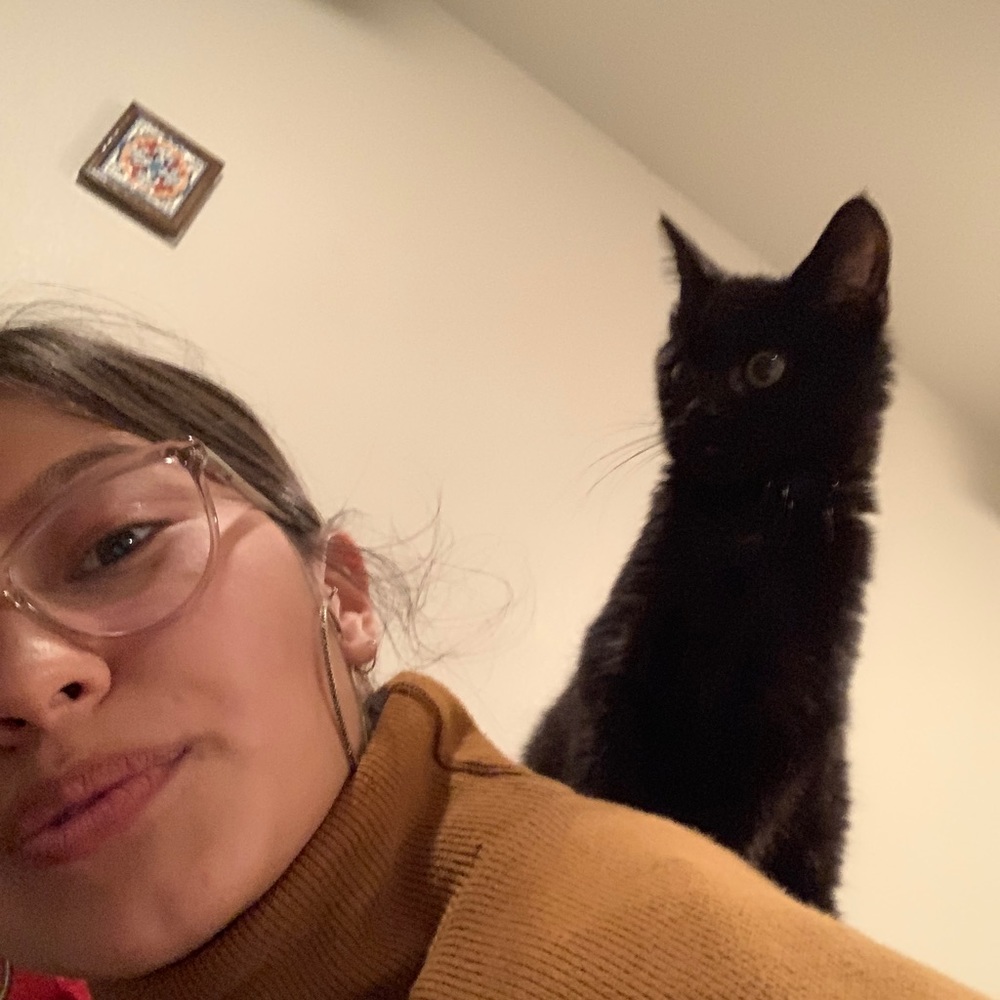 Meet your Posher, Cassidy